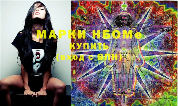 хмурый Магас