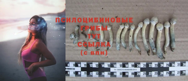 гашик Орехово-Зуево