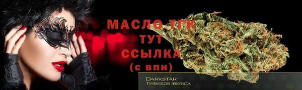 хмурый Магас