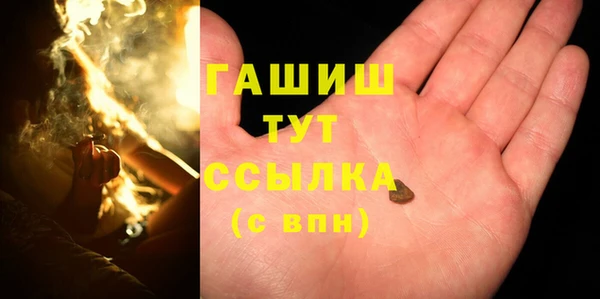 хмурый Магас