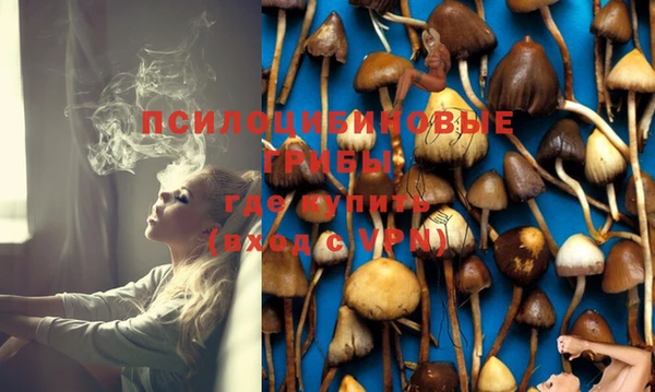 ешки Майский