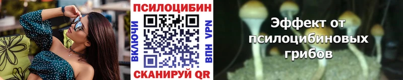 Галлюциногенные грибы прущие грибы  Купить закладки  Навашино 